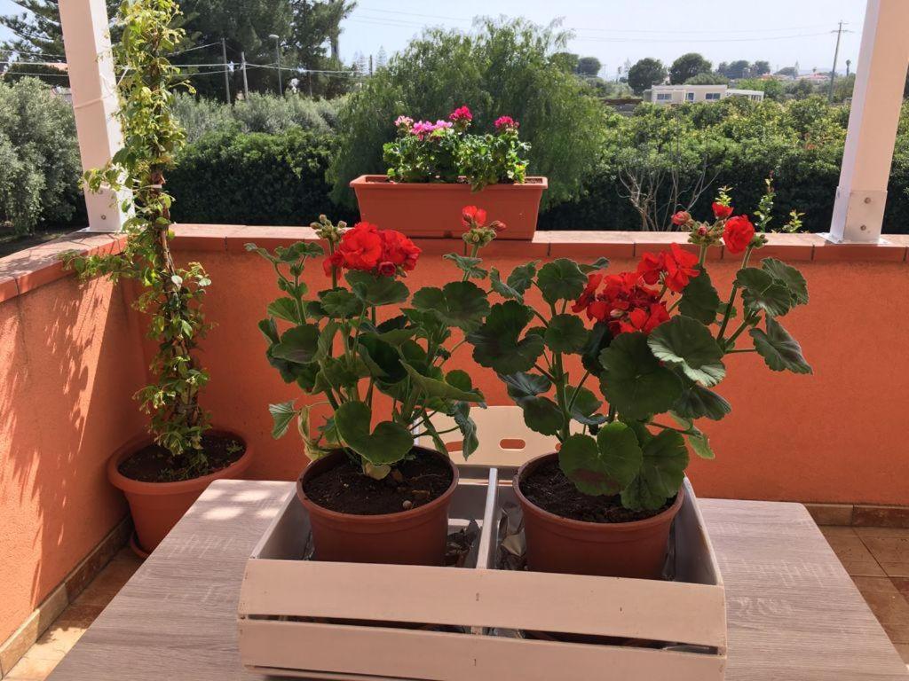 La Stanza Delle Muse In Con Piscina *
